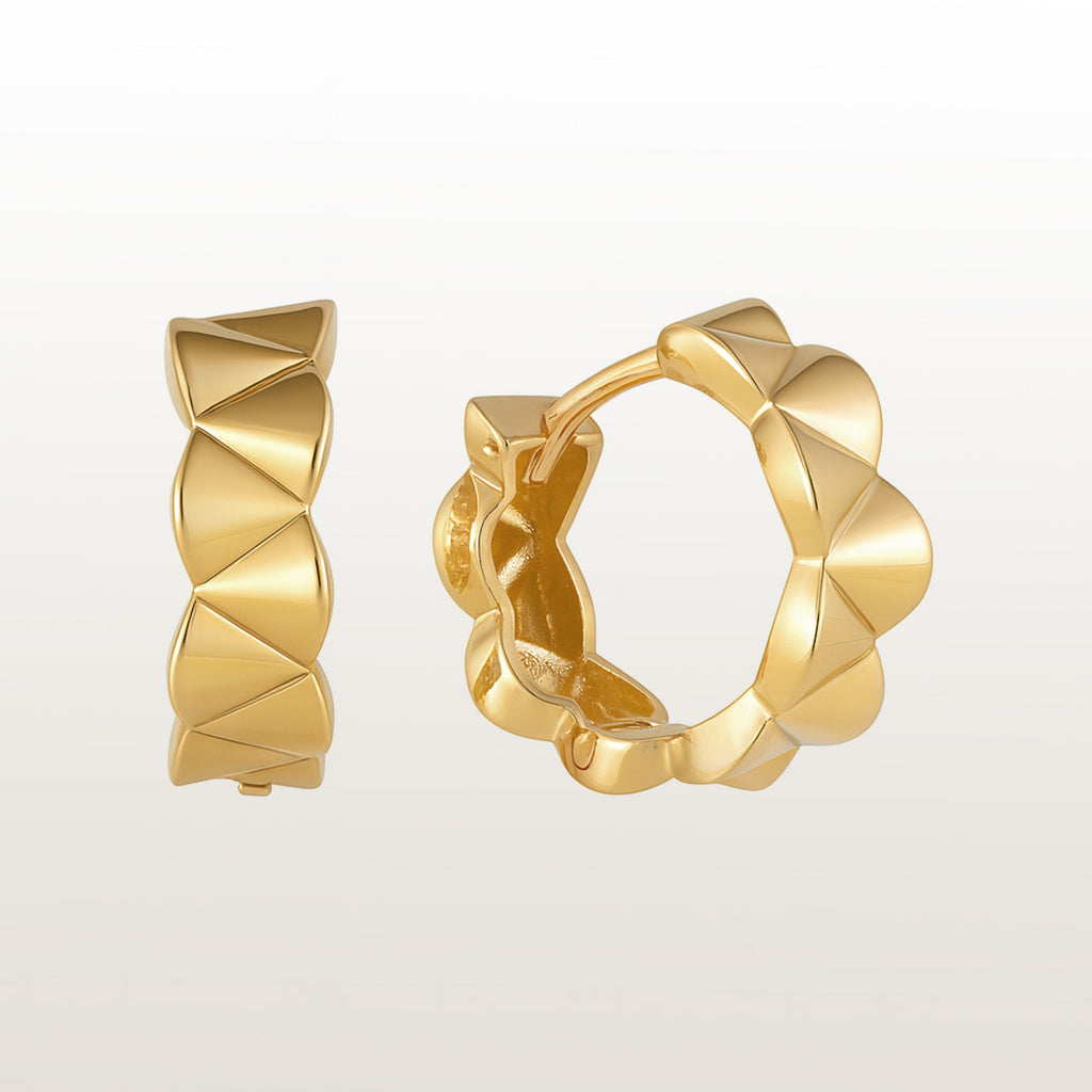 Insigne Earrings
